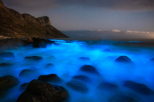 Chasing the Bioluminescent Phenomenon: Capturing Cape Town's Red Tide